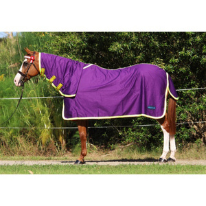 Mantas de Algodón para Caballos de Verano al por Mayor, Resistentes y de Alta Calidad, Algodón Indio Auténtico en Venta - Product Image 6