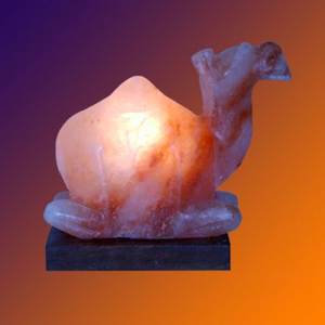 Lampe au sel de l'Himalaya fabriquée à la main en forme de chien Sian Enterprises' Natural Craft Product - Product Image 2