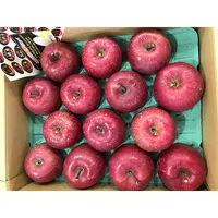 日本の新鮮な有機フルーツレッドアップル