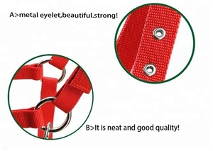 Cavallo/<span class=keywords><strong>asino</strong></span> halter, occhiello in metallo, 21 MILLIMETRI di larghezza - Product Image 3