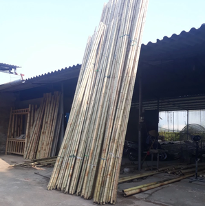 Solid Tam Vong <b>Bamboo</b> Pole for Building, Garden, <b>Fence</b>, Tent, Fishing Rode - Product Image 2