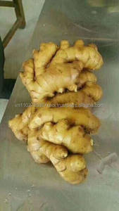 Jengibre fresco al mejor precio - Product Image 3