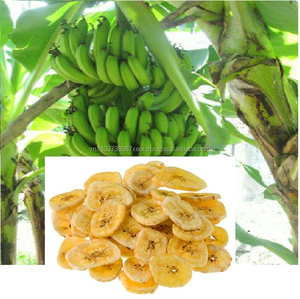Banane séchée/Chips de bananes/Chips de bananes séchées en 2022 - Product Image 1