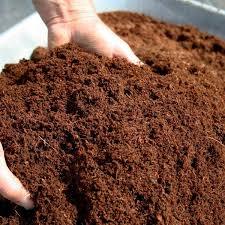 COCOPEAT, turba de coco, precio de COCOPEAT para cultivo de jardín - Product Image 4