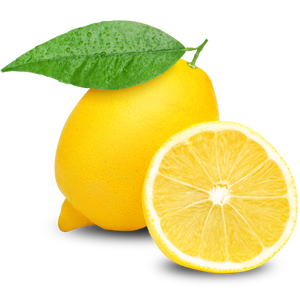 Huile Essentielle de Zeste de Citron Bio de Haute Qualité 100% Pure Pressée à Froid avec Étiquette Privée Incluant l'Ingrédient Arbre à Thé - Product Image 4