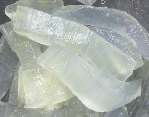 Aloe Vera Orgánico 100% Fresco - Aloe Vera de Vietnam - Product Image 3