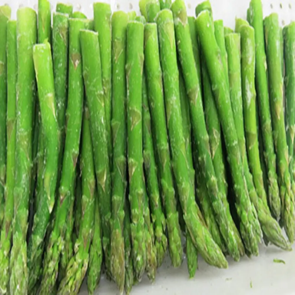 GOOD IQF Frozen green asparagus 15cm or 17cm with high quality