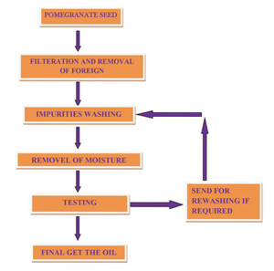 Aceite de semilla de Granada orgánico, excelente calidad, prensado en frío, aceite de semilla de Granada Natural, Exportación a granel en la India - Product Image 5