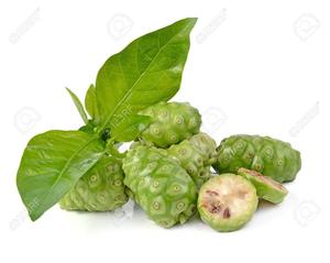 ยา Morinda Citrifolia /<span class=keywords><strong>Noni</strong></span>