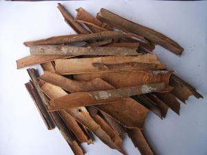 Offre Spéciale : Cannelle de Cassia du Vietnam, Cassia fendue VO 3%, Cassia séchée en vrac, Exportation, Vente en gros, Approvisionnement direct usine - Product Image 6