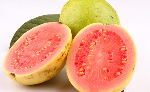 Exportadores y Proveedores Globales de Aceite Portador de Semillas de Guayaba Premium Prensado en Frío con Certificación GMP - Product Image 3