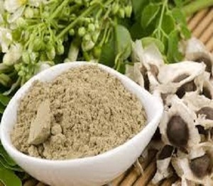 Polvo de Moringa seco puro 100% de la India para alimentación y plantación - Product Image 1