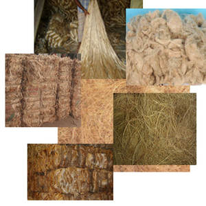 Produit bangladais en fibre de jute à cinq brins Tossa à motif brut - Product Image 5