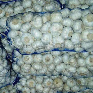 BON Ail frais-Légumes épicés pour l'exportation Qhsm Marque 5.5cm Taille 25kg Poids TH Origine - Product Image 2