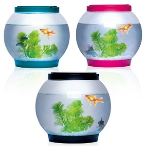 INTELLIGENT ROND BOCAL à POISSONS EN VERRE D'AQUARIUM - Product Image 3