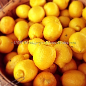 GOOD <b>Fresh</b> Lemon <b>Fruit</b> - Product Image 2