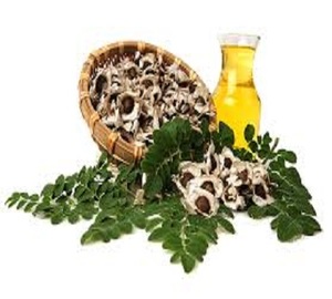 100% Aceite de Moringa puro y natural Hidratante corporal vegano en forma líquida Suministrado directamente desde la India - Product Image 1