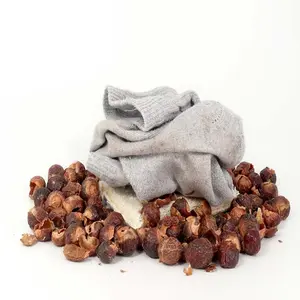 הטוב ביותר באיכות Sapindus mukorossi פירות תמצית/Soapnut תמצית/סבון אגוז תמצית אבקה