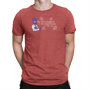 T-shirt d'impression bon marché en coton 100% OEM - Product Image 5