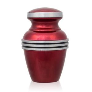 Urne de crémation en laiton violet brillant classique souvenir en métal unique pour cendres d'animaux de compagnie avec conception de bande argentée pour le stockage commémoratif - Product Image 2