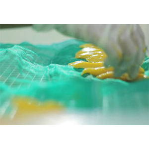 Deliciosa fruta de mango de secado suave natural 100% con precio razonable/Sra. Shyn - Product Image 4