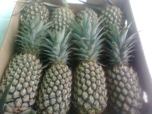 Ananas frais de haute qualité 2021, type noix de coco, conservés à l'huile, emballage en vrac, VIET DELTA, 200 kg, durée de conservation de 20 jours - Product Image 5