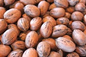 Vente directe usine : Noix de pécan naturelles séchées, de qualité supérieure, ouvertes, approuvées USDA, cultivées en Afrique du Sud, 25 kg/sac, durée de conservation 2 ans - Product Image 2