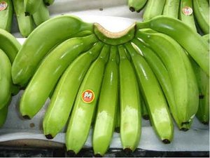 Plátano Cavendish Fresco Verde de Primera Calidad al por Mayor, 1 kg, Precio Competitivo, Delicioso Sabor - Product Image 5