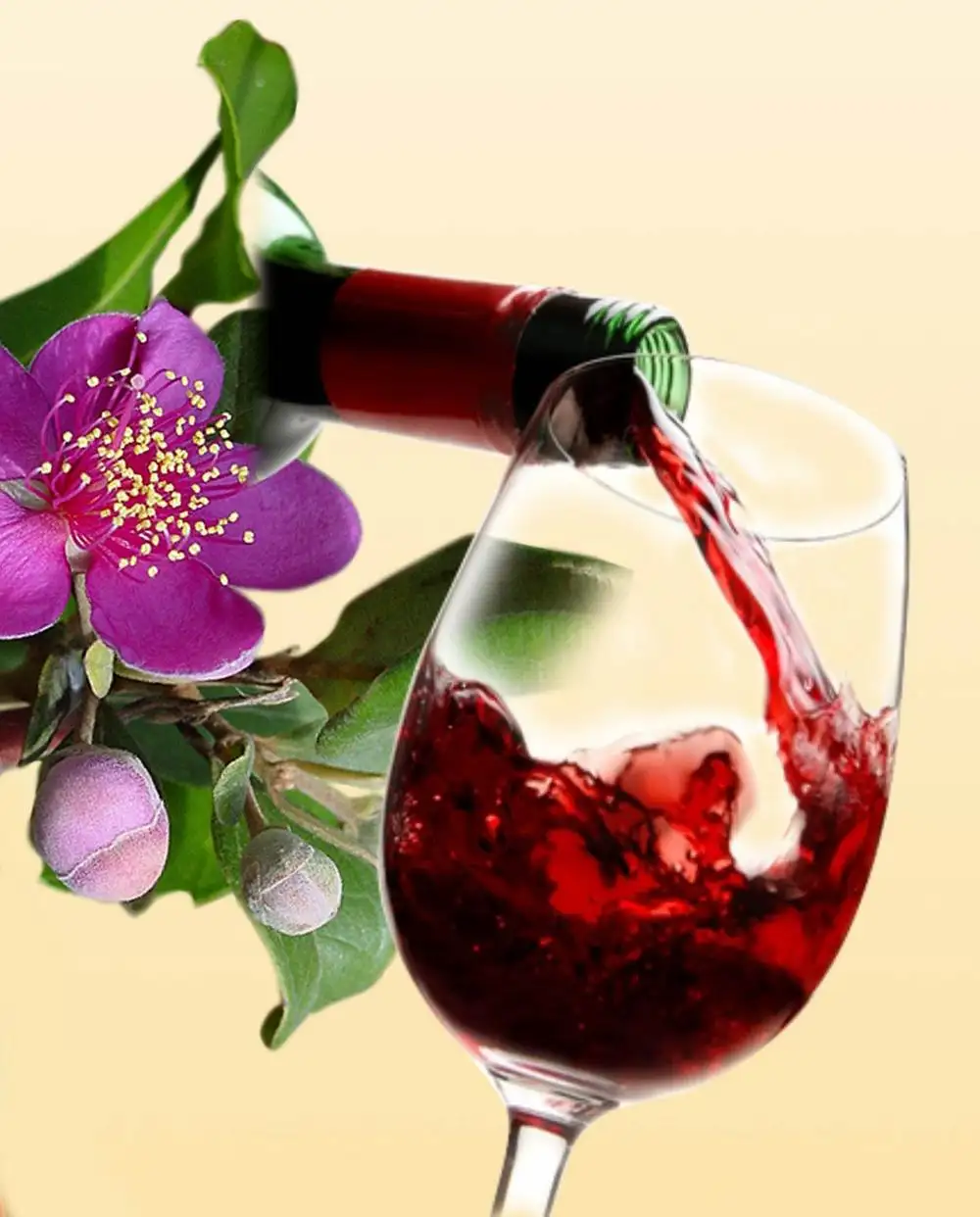 Vino de fruta de alta calidad, Rosa Myrtle, whatsapp + 84 845 639 639