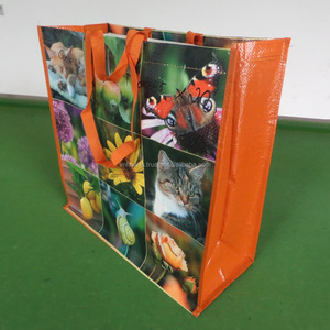 HOAHA Vietnam Cheap PP Shopping <b>Bag</b> Vietnam - Product Image 2