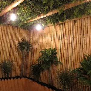 Valla de Bambú/ Valla de Jardín de Bambú/ Paneles de Valla de Bambú - Product Image 3