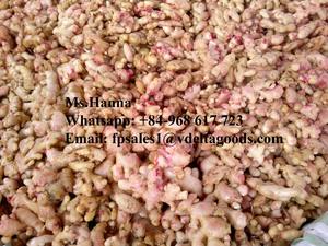 ขิง/ขิงสด/ขิงดำด้วยราคาและคุณภาพที่ดีที่สุด - Product Image 5