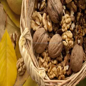 Cheap walnut Kernels