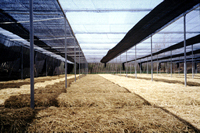 Nouveau pare-soleil PE de qualité du Vietnam prix bon marché d'usine - Product Image 3
