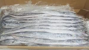 ปลาแซลมอนปลาสีแดงสดแช่แข็ง - Product Image 6