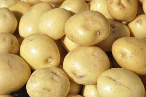 Patata Dulce de Forma Redonda con Certificación CIQ, Producto 100% Natural, Verduras Frescas, Patatas Frescas Egipcias en Venta en Sudáfrica - Product Image 3
