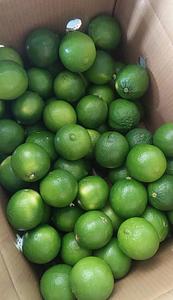 Limes sans graines du Vietnam/citron vert frais - Product Image 2