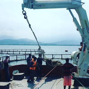 Mesin derek lengan hidrolik elektrik, dek laut, baru digunakan kapal/derek, mesin pertanian, toko perbaikan, konstruksi Motor - Product Image 3