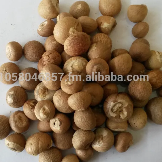 High Quality Betel Nut Dried Whole (80-85%) von Indonesia