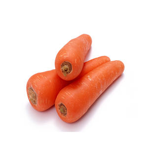 Carottes fraîches à vendre Éplucheur de carottes du Vietnam au PRIX LE MOINS CHER NOUVELLE CULTURE du fournisseur du Vietnam - Product Image 2