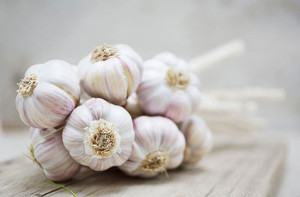WHOLESALE DRIED <b>GARLIC</b> - High-quality Dried <b>Garlic</b> From Vietnam - Product Image 5