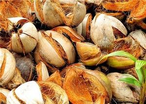 กะลามะพร้าวที่มีปริมาณมาก/วันหยุด - Product Image 6