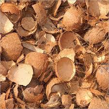 Charbon actif en forme de bâton de coque de noix de coco pour usage agricole - Product Image 4