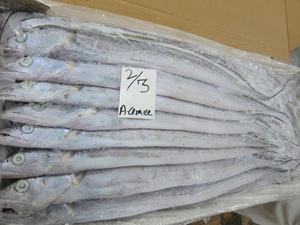 Pescado Congelado Orgánico Premium - Empaque a Granel del Proveedor Fabricante - Product Image 2