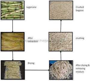 ชานอ้อยแบบเม็ดแห้งผลิตจากชานอ้อย WASTE-GIA ทางการเกษตร Gia Nguyen Co. Ltd VN - Product Image 6