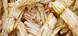 Pulpa de bagazo de caña de azúcar, Producto respetuoso con el medio ambiente - Product Image 2