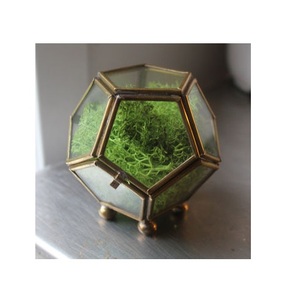 Terrario de vidrio geométrico hecho a mano de alta calidad con diseño Art Deco de latón para la decoración del hogar y la boda para la exportación a granel - Product Image 5