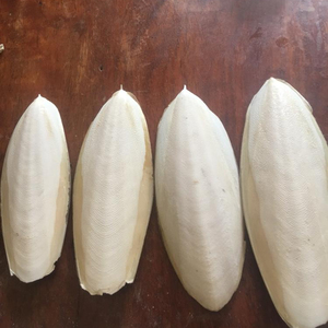 Pienso para pájaros/HUESO DE PESCADO LAVADO SECO - Product Image 2