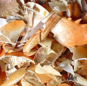 เปลือกปู/กุ้งแห้ง คุณภาพสูง จากเวียดนาม (คุณฟีบี, 84 1644010866) - Product Image 5