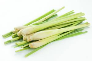<b>Dried</b> <b>Lemongrass</b> with Good Price and High Quality/ <b>Dried</b> <b>Lemongrass</b> Used As Food Seasoning - Product Image 5